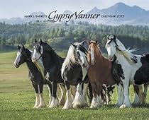 Gypsy Vanner Horse 2015 Wall Calendar Gypsy Vanner Horse 2015 Wall Calendar