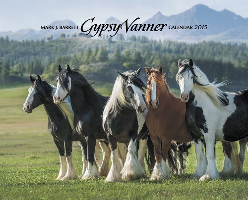 Gypsy Vanner Horse 2015 Wall Calendar