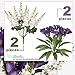 Four Artificial Flower Bushes - Two 26" Delphinium Bushes + Two 24" Parrot Tulip Bushes