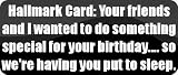 Hallmark Card: "Your friends and I wanted to do something special for your birthday.... so were having you put to sleep." - Funny Car Bumper Sticker/Vinyl Decal [BLK5013]