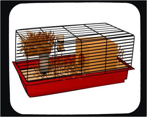 Mauspad mit Dekoration - Inland, Fach ein, Nagetier, Wasser, gerbil, Bettzeug, Bur, Schutzraum, Käfig, Haustier, Tier, Hamster