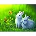 Fascinated 300pc Jigsaw Puzzle by Kirk Reinert