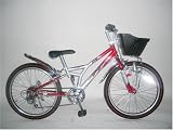 超特価20インチ ジュニアマウンテン CTB ギャレン レッド/シルバー
