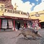 The Best Of Freddie King: The Shelter Years