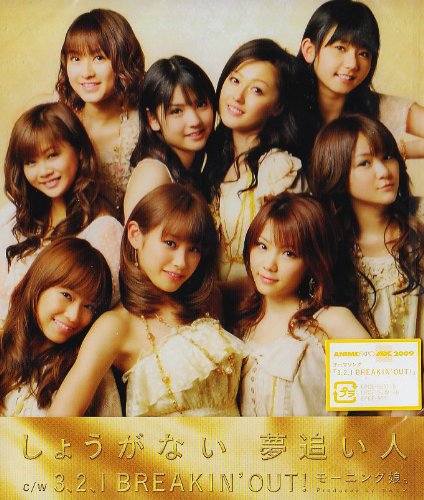 しょうがない 夢追い人
