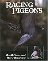 Racing Pigeons