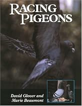 Racing Pigeons