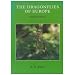 The Dragonflies of Europe