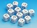 Positive & Negative Number Dice