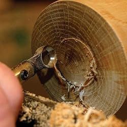 Termite