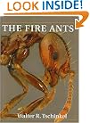 The Fire Ants