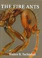 The Fire Ants