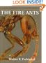 The Fire Ants