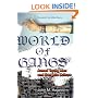 A World of Gangs: Armed Young Men and Gangsta Culture (Globalization and Community)