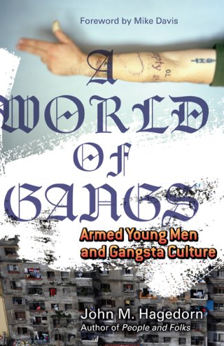 A World of Gangs: Armed Young Men and Gangsta Culture (Globalization and Community) under Globalization in The Books Store
