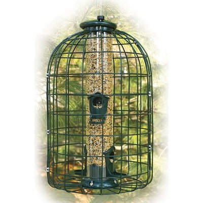Squirrel Proof Caged Tube Feeder
