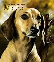 Dachshunds 2010 Hardcover Weekly Engagement