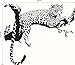 Black African Leopard Wall Decal Removable Mural Wall Stickers for Home Decor