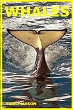 Whales:Whale Facts for Kids,Whales Gentle Giants of the Sea (Facts about Animals in the Sea Book 4)