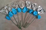 Rosettes/Mane Flowers - Turquoise & Silver