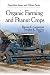 Search : Organic Farming and Peanut Crops