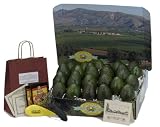 Orchard Fresh - Avocado Bounty - Gourmet Fruit Gift Basket