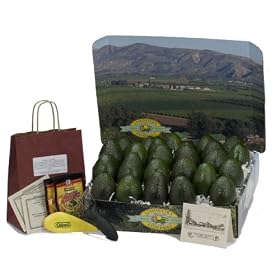 Orchard Fresh - Avocado Bounty - Gourmet Fruit Gift Basket