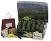 Orchard Fresh - Avocado Bounty - Gourmet Fruit Gift Basket