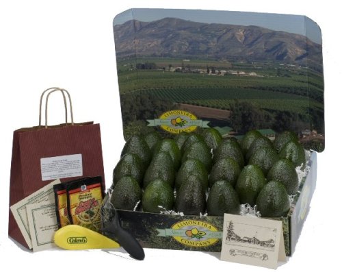 Orchard Fresh - Avocado Bounty - Gourmet Fruit Gift Basket by Limoneira Company