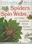 I Wonder Why Spiders
