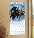 Frozen Wall Calendar (2017)