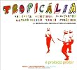 Tropicalia: A Brasilian Revolution In Sound
