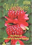 Wildflowers
