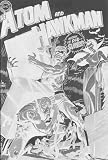 Atom and Hawkman, No. 46 Atom and Hawkman, No. 46