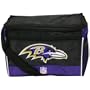 Baltimore Ravens - Logo Small Cooler, NFL Pro Football