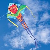 Large Easy Flyer, Poison Dart Frog, 46