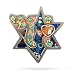 Judaic Star with Chai Pin from the Artazia Collection #767 JP