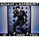 If I Had You