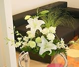 �y�t�����[�}�[�P�b�g�ԗR�z�y�����p�A�����W�����g���m���z all the time