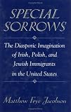 Special Sorrows : The Diasporic Imagination Of Irish, Polish, And Jewish Immigrants In The United States