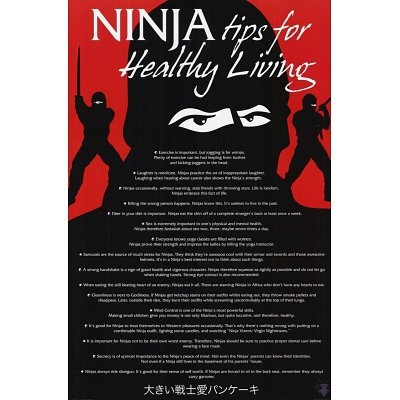 (24x36) Ninja Tips (List for Vigorous Living) Art Poster Print