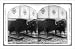 Historic Print (L): 2 musk oxen of the Arctic Regions, which were mounted by a taxidermist, at the Internati
