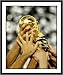 All Products : 2006 Italy Framed 8x10 Photograph World Cup Trophy
