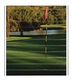 Jifram Easy Living 11000075 Easy Wall Wallscapes Golf Digitally Printed Slatwall Kit