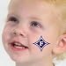 NCAA Furman Paladins 4-Pack Temporary Team Logo Tattoos