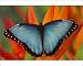 Photographic Prints of Sammamish Washington from Danita Delimont