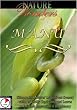 Nature Wonders  MANU Peru