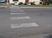 WHY DID THE CHICKEN CROSS THE ROAD? Answers for everyday of the year