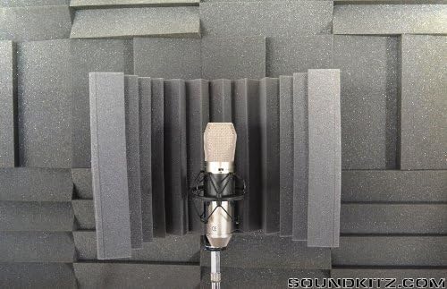 AE-F PRO Heavy Duty Portable Vocal Booth Studio Microphone Reflection Filter