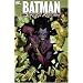 Batman: Joker's Asylum (Batman)